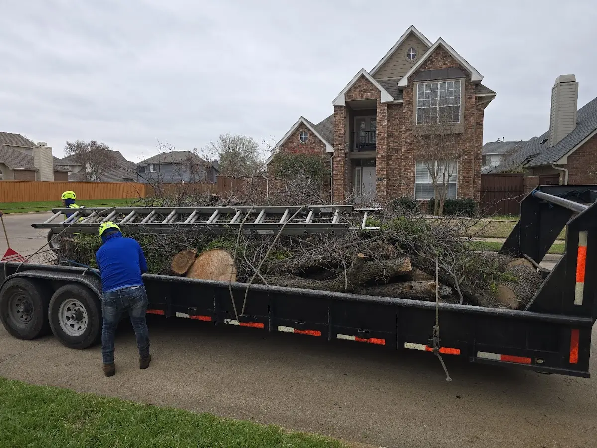 Expert Tree Fertilization with proper safety equipment in Raymondville